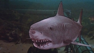 25 лучших фильмов с акулами – Часть 1
