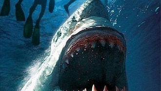 25 лучших фильмов с акулами – Часть 2
