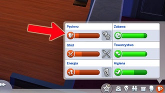 Потребности сима и их удовлетворение