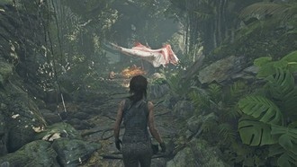 Перуанские джунгли