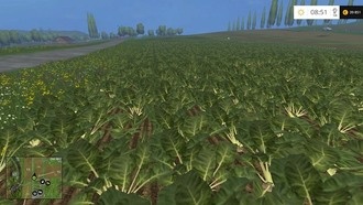 Сахарная свекла и картофель | Гайд Farming Simulator 15