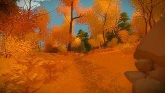 Коллекционки | Лес | Гайд The Witness