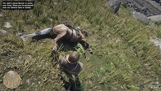 Может ли моя лошадь умереть в Red Dead Redemption 2?