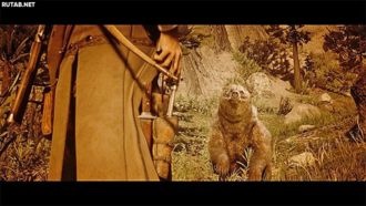 Как убить легендарного медведя?