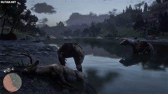 Где взять щетку для лошади?