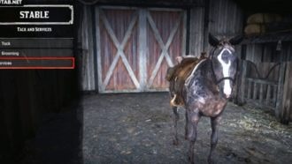 Нужно ли забирать седло после смерти лошади?