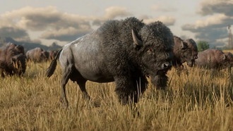 Как убить легендарного белого бизона?