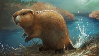 Как убить легендарного бобра?