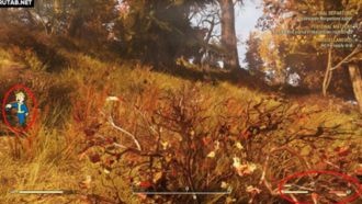 Должен ли я есть и пить в Fallout 76?