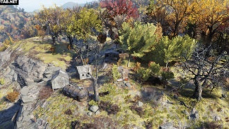 Лаборатория любимой сестры | Регион Лес - Зона B