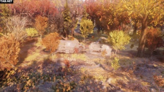 Коттедж семьи Гровс | Регион Лес - Зона B