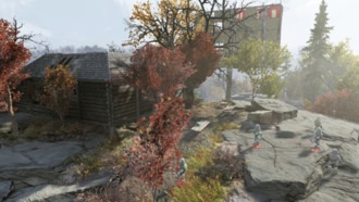 Павильон Мэриголд | Регион Лес - Зона B