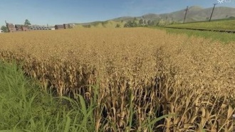 Как выращивать зерно шаг за шагом в Farming Simulator 19