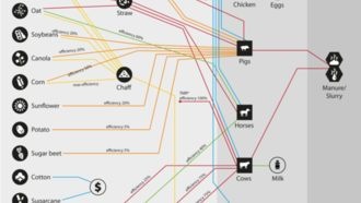 Карта производственных цепочек в Farming Simulator 19