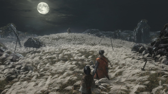 В Sekiro: Shadows Die Twice найден режим свободной камеры