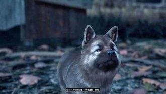 Как погладить собаку в Days Gone?