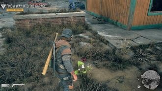 Для чего нужны растения и мясо животных?