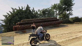 Попутчик - 2