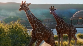 Planet Zoo - трейлер и дата бета-теста