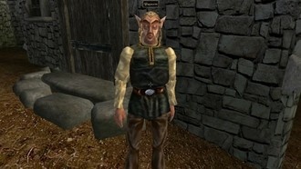 Задание Фаргота, Сейда Нин