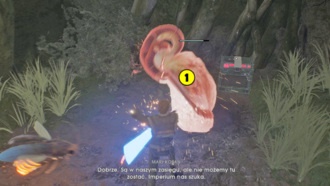 Кашиик: Тарффул, Мари, Заросший перевал, Дыхательная маска | Прохождение