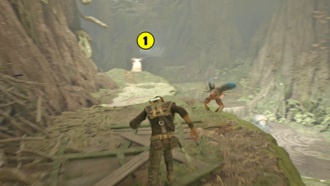 Кашиик: Первое древо, большая птица, двойной меч, босс Девятая сестра