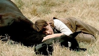 Топ лучших фильмов о лошадях