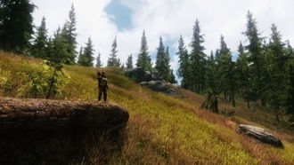 100 лучших модов для Skyrim (Графика и погода)