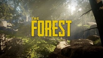 Читы и консольные команды для The Forest