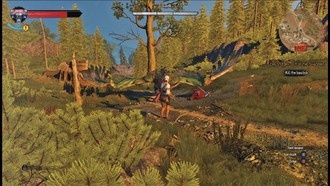 История Цири. Из тени: Спасительница Барона