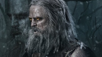 Объявили актера на роль Весемира в сериале Ведьмак