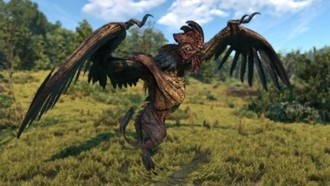 Заказ: клекотун