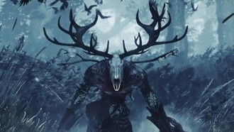 Заказ: лихо лесное