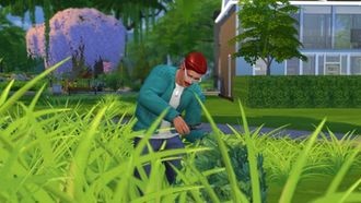 The Sims 4: Подробный гайд по садоводству Часть 3