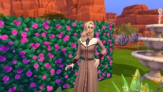 Карьера садовника