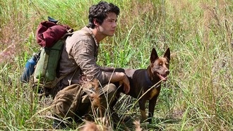 «Любовь и монстры»: актерский состав и дата выхода фильма