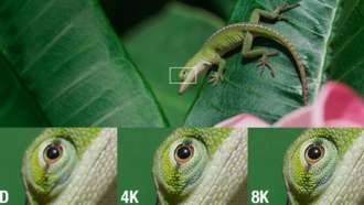 Насколько разрешение 8K лучше 4K? Перспективы 8K
