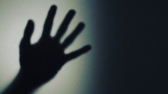 Новая технология ИИ позволяет роботам понимать человеческое прикосновение