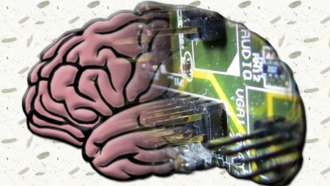 Экспериментальные исследования мозга ставят под сомнение то, что мы живем в Матрице