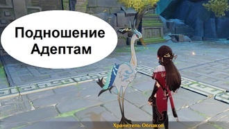 Genshin Impact - Подношение Адептам