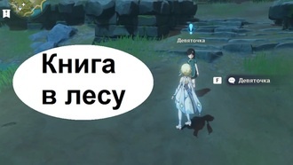 Genshin Impact - Книга в лесу