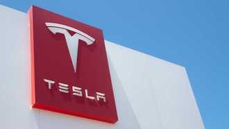 Илон Маск анонсировал официальное появление Tesla в России