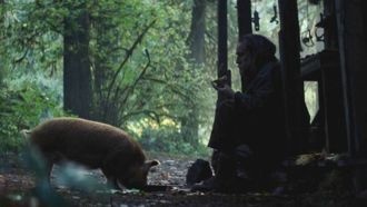 Николас Кейдж вызвал восторг у зрителей. «Свинья» собирает отличные отзывы.