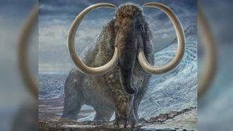 Мамонты были первыми «дальнобойщиками по ледяной дороге»