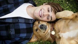 Список лучших фильмов про собак