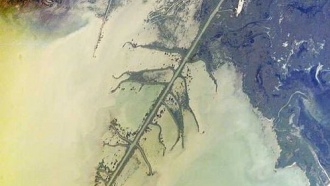 10 интересных фактов о Казахстане