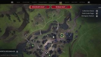 Задача профессора Чесноук 1 | Hogwarts Legacy