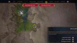 Похищенная капуста | Hogwarts Legacy