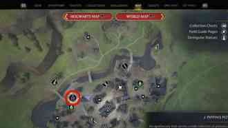 Все зелья (7) в Hogwarts Legacy