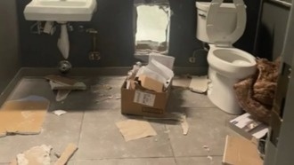 Воры прорезали стену ванной, чтобы украсть товары из Apple Store — «Маки» брать не стали